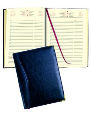 AGENDA DÍA POR HOJA RUSCONI PRESIDENTE 313CCM