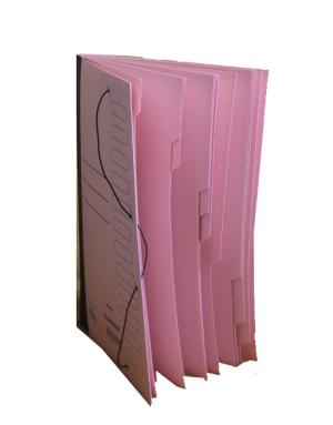 CARPETA CON ELASTICO EN CARTULINA 12 ASUNTOS