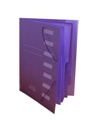 CARPETA CON ELASTICO EN CARTULINA 7 ASUNTOS
