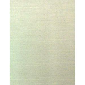 CARTULINA OPALINA CREMA TELADA 225 grs A3 - 100 hojas