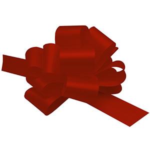 MOÑO MAGICO 30mm x 510mm x 10 unidades