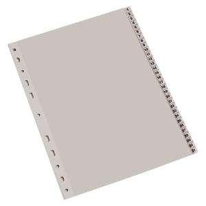 SEPARADOR OMEGA NUMERICO A4 1-31